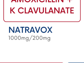 NATRAVOX 1000MG